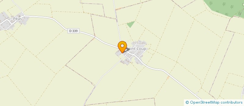 localisation de l'entreprise DELPHINE ET THIERRY RAULET  SAINT-LOUP