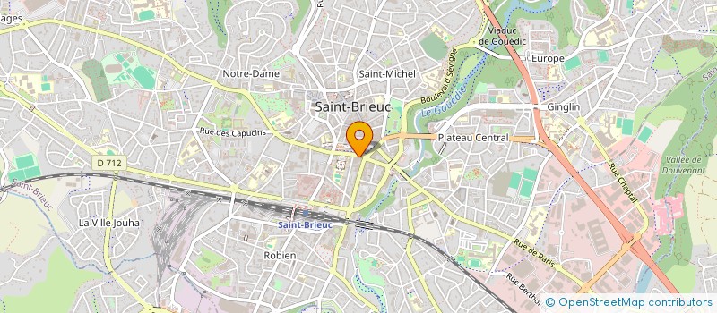 localisation de l'entreprise DELPHINE VIDEO à SAINT-BRIEUC