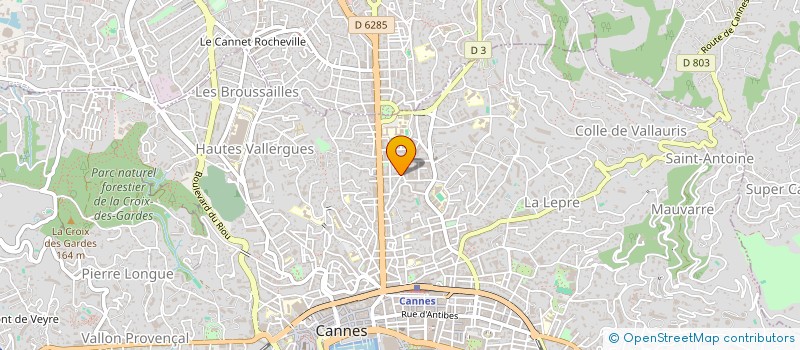 localisation de l'entreprise DELPHIS SECURITE à CANNES