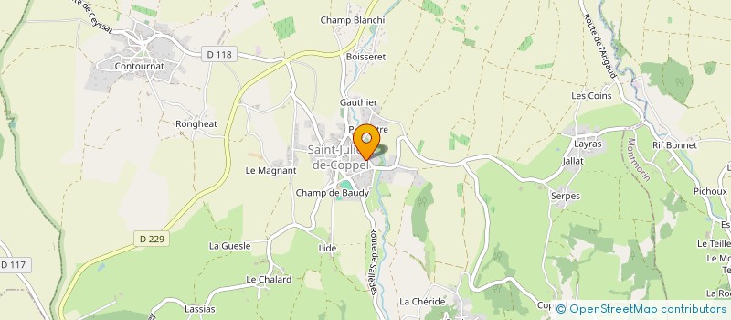 localisation de l'entreprise DELRU  SAINT-JULIEN-DE-COPPEL