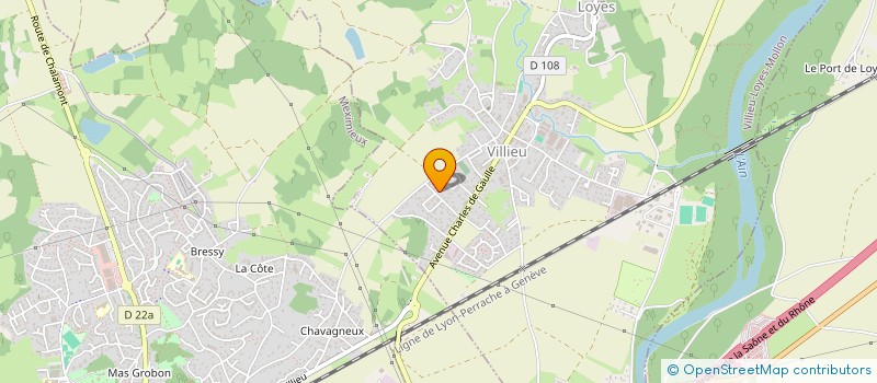 localisation de l'entreprise DELSERVICES  VILLIEU-LOYES-MOLLON