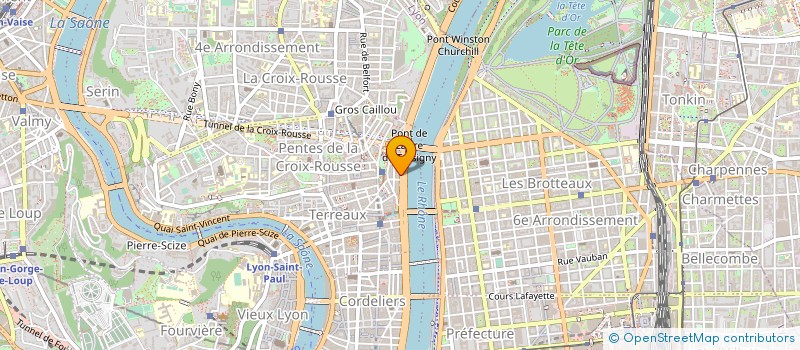 localisation de l'entreprise DELSOL AVOCATS  LYON