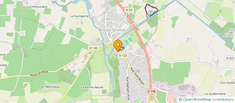localisation de l'entreprise DELTA 1  LES GARENNES SUR LOIRE