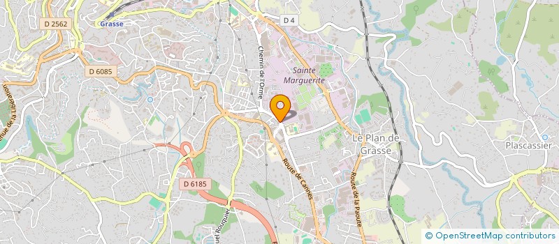 localisation de l'entreprise DELTA  GRASSE