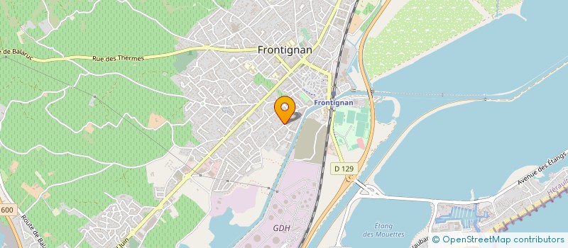 localisation de l'entreprise DELTA à FRONTIGNAN