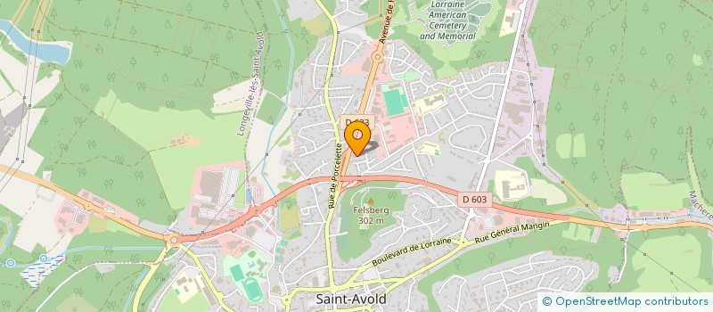 localisation de l'entreprise DELTA BAT à SAINT-AVOLD