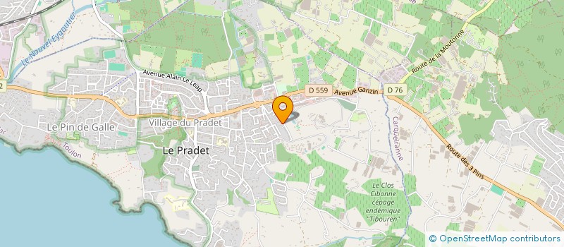 localisation de l'entreprise DELTA CLOTHING  LE PRADET