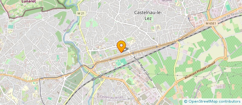 localisation de l'entreprise DELTA DISTRIBUTION à CASTELNAU-LE-LEZ