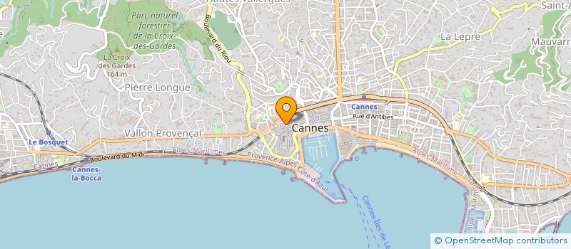 localisation de l'entreprise DELTA EXPO à CANNES