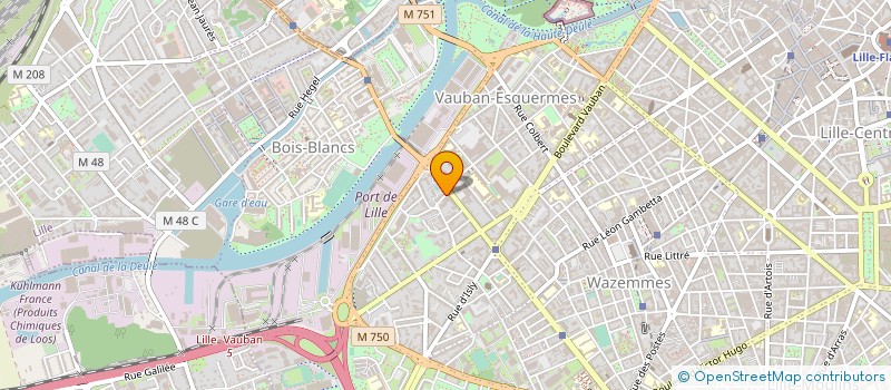 localisation de l'entreprise DELTA LIGHT SAS à LILLE