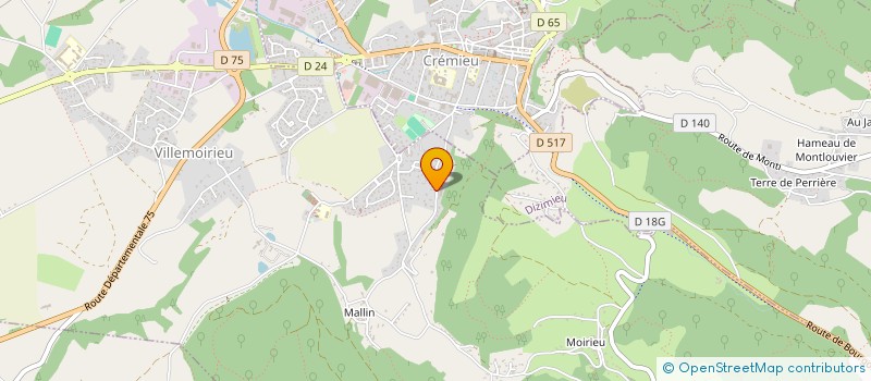 localisation de l'entreprise DELTA MAGIC FRANCE SA  VILLEMOIRIEU