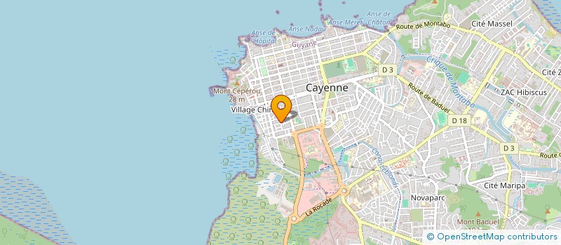 localisation de l'entreprise DELTA SECURITE GUYANE  CAYENNE