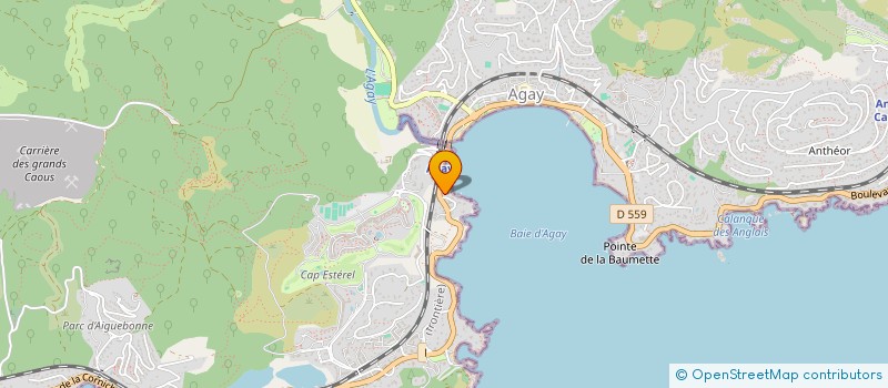 localisation de l'entreprise DELTA SERVICES  SAINT RAPHAEL