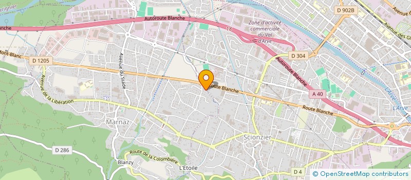 localisation de l'entreprise DELTA SERVICES INFORMATIQUE  MARNAZ