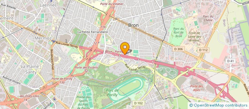 localisation de l'entreprise DELUXE SERVICES à BRON