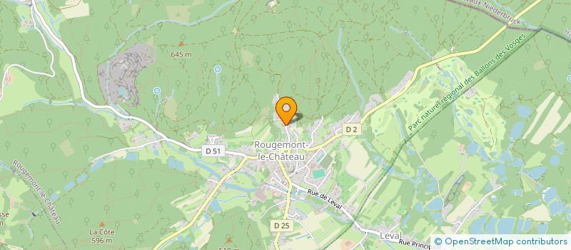 localisation de l'entreprise DELVILL-AUTO-CONSULTING à ROUGEMONT-LE-CHATEAU