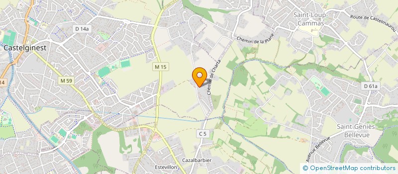 localisation de l'entreprise DELYA IMMO  CASTELGINEST