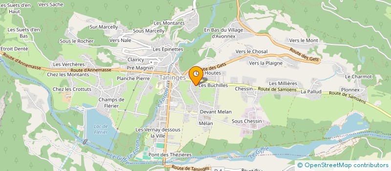 localisation de l'entreprise DELYSANE  TANINGES