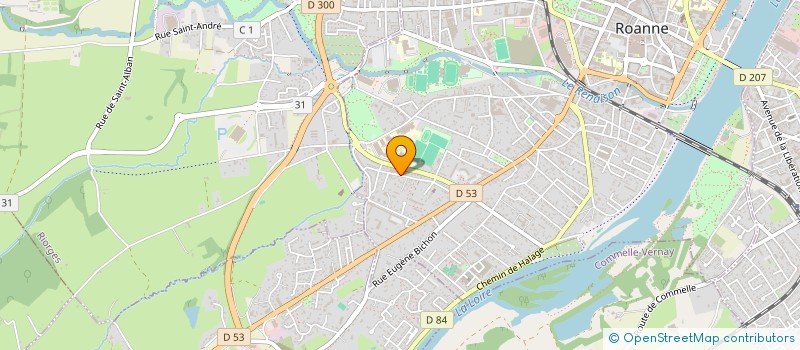 localisation de l'entreprise DELZ & CO à ROANNE