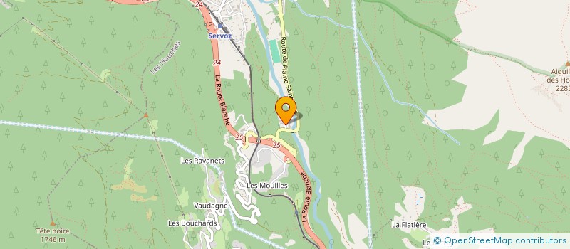 localisation de l'entreprise DEMAIN A MAINS  LES HOUCHES