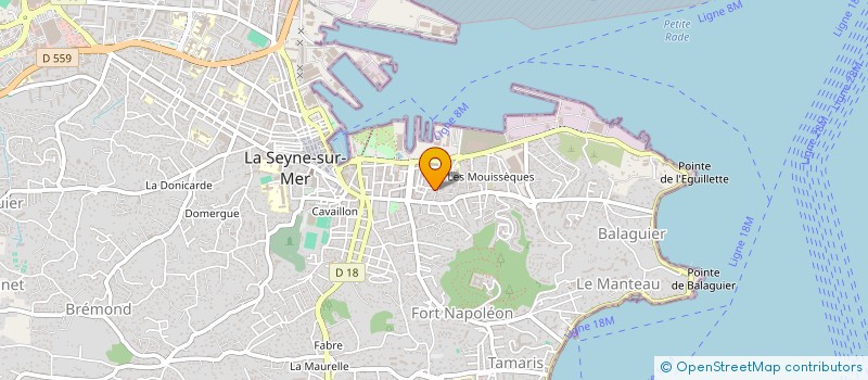 localisation de l'entreprise DEMBINSKA TERNON  LA SEYNE SUR MER