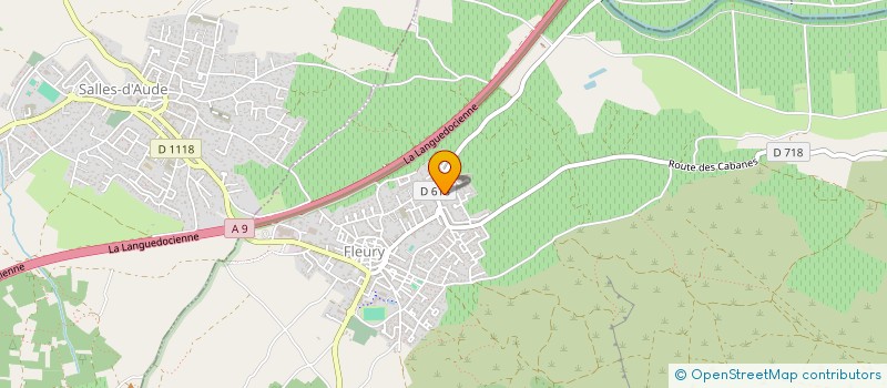 localisation de l'entreprise DEMISTRI  FLEURY