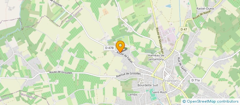 localisation de l'entreprise DEMONTROND à FRONTON