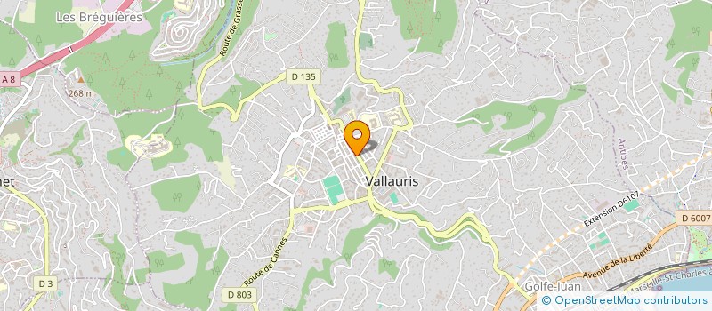 localisation de l'entreprise DEMREST à VALLAURIS