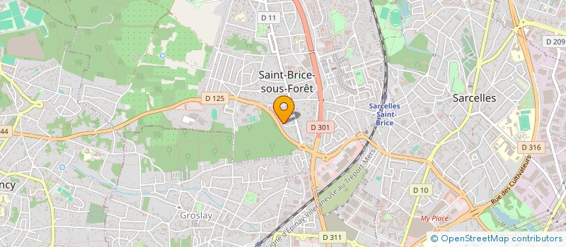 localisation de l'entreprise DEMS CONSULTING à SAINT-BRICE-SOUS-FORET