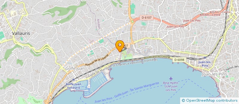 localisation de l'entreprise DENFERT  VALLAURIS