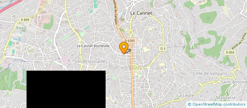 localisation de l'entreprise DENON INVESTISSEMENT à LE CANNET