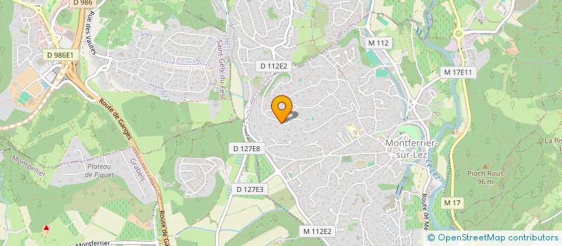 localisation de l'entreprise DENS IMMO  MONTFERRIER-SUR-LEZ