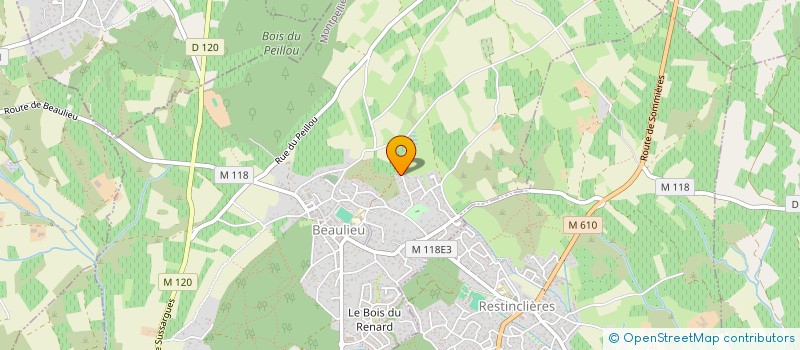 localisation de l'entreprise DENT L'AVENIR à BEAULIEU