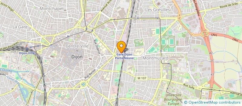 localisation de l'entreprise DENTAIRE PORTE NEUVE à DIJON