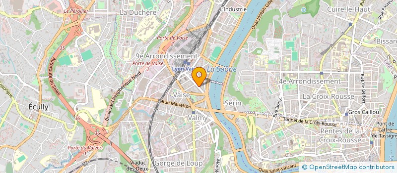 localisation de l'entreprise DENTAIRE SALENGRO  LYON