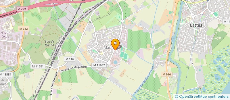 localisation de l'entreprise DENTAL D'OC à LATTES