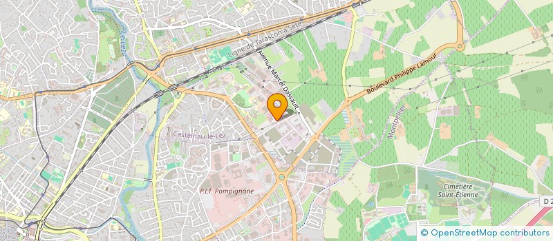 localisation de l'entreprise DENTAL PROCESS à CASTELNAU-LE-LEZ