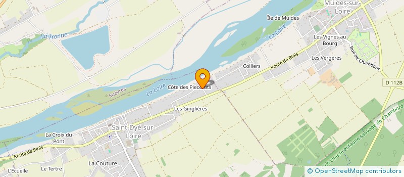 localisation de l'entreprise DEODATUS à SAINT-DYE-SUR-LOIRE