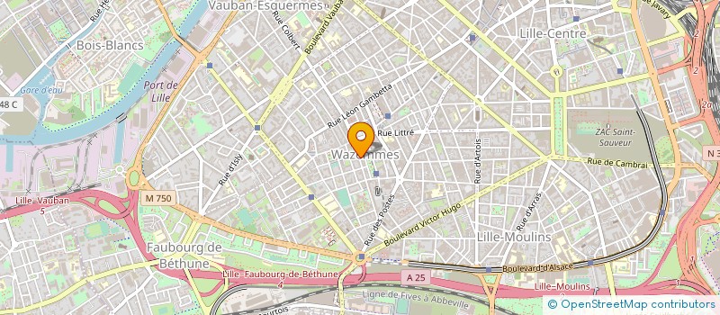 localisation de l'entreprise DEPAN'AUTO  LILLE