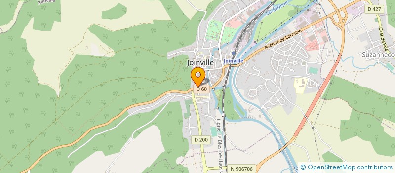 localisation de l'entreprise DEPAN'TV VIDEO MENAGER à JOINVILLE