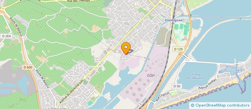 localisation de l'entreprise DEPANN SUD SERVICES à FRONTIGNAN