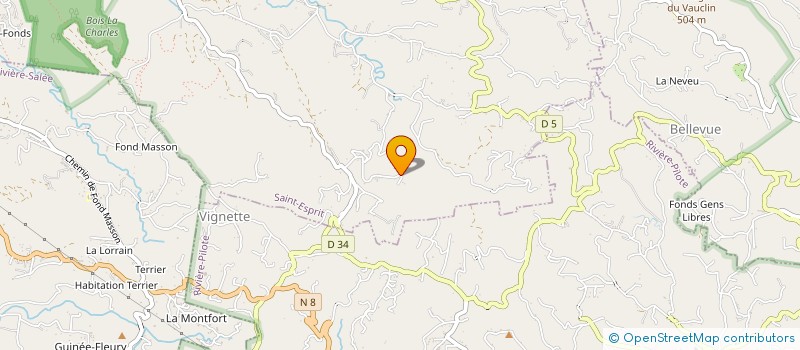 localisation de l'entreprise DEPARTEMENTALE DE LA CONFEDERATION SYNDICALE DES FAMILLES DE LA MARTINIQUE (U.D.C.S.F.M.)  SAINT-ESPRIT