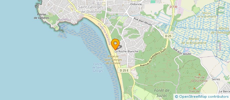 localisation de l'entreprise DEPI IMMO  SAINT-GEORGES-DE-DIDONNE