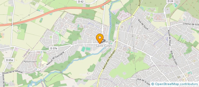 localisation de l'entreprise DES AMIS  LA SALVETAT-SAINT-GILLES