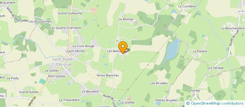 localisation de l'entreprise DES BELOUZES à SAINT-DIDIER-D'AUSSIAT