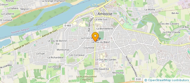 localisation de l'entreprise DES BILLES DE BOIS  AMBOISE