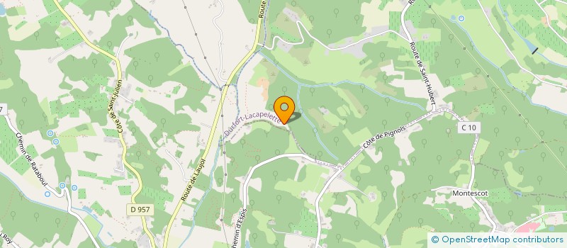 localisation de l'entreprise DES BOIS D'ESPIS  DURFORT-LACAPELETTE