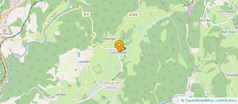 localisation de l'entreprise DES BRUYERES  CHANAC-LES-MINES