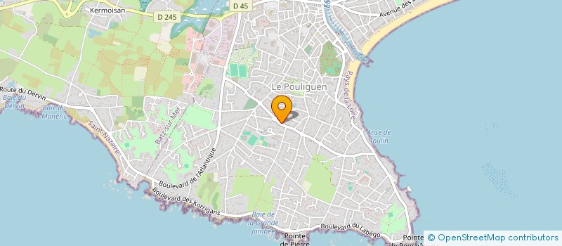 localisation de l'entreprise DES CELTES  LE POULIGUEN