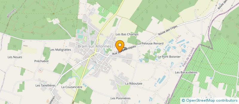 localisation de l'entreprise DES CHANTEPIES à BRAIN-SUR-ALLONNES